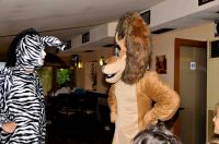 <p>Madagaskar party</p>